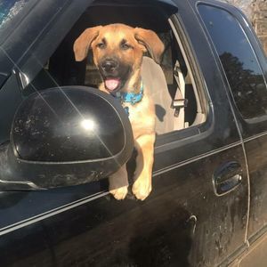 Meet your Posher, Kevin